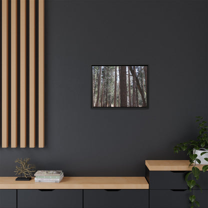 Forest Cathedral - Unique Stretched Canvas Wall Art