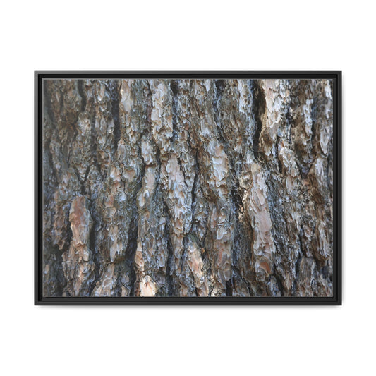 Bark Whispers - Unique Poster Wall Art