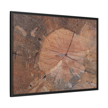 Concentric Memories - Unique Stretched Canvas Wall Art