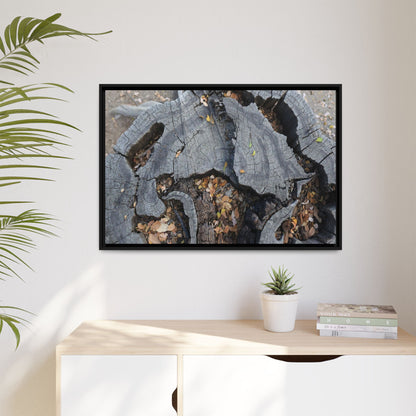 Time's Fractal Memory - Unique Stretched Canvas Wall Art