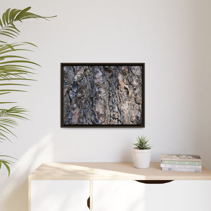 Weathered Patterns - Unique Stretched Canvas Wall Art