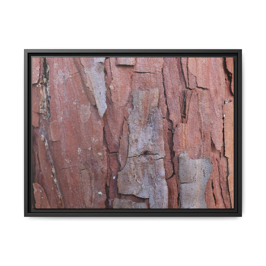 Peeling Bark - Unique Stretched Canvas Wall Art