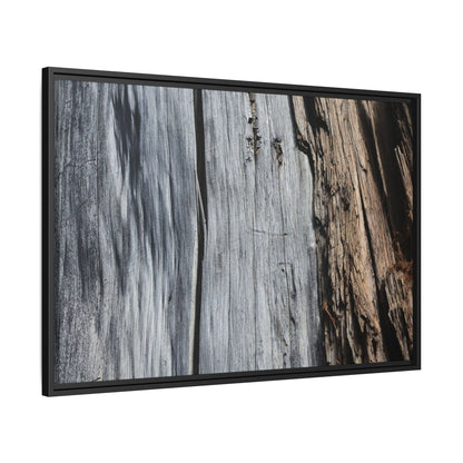 Wood's Lament - Unique Stretched Canvas Wall Art