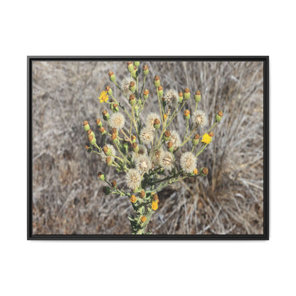 Whispers of the Dry Grass - Unique Stretched Canvas Wall Art - Art By Earth