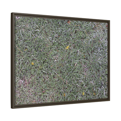 Grassy Texture - Unique Stretched Canvas Wall Art