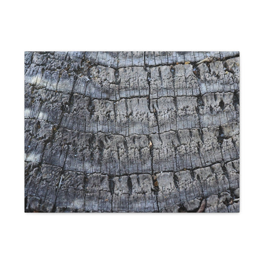 Whispers of Age - Unique Frameless Canvas Wall Art