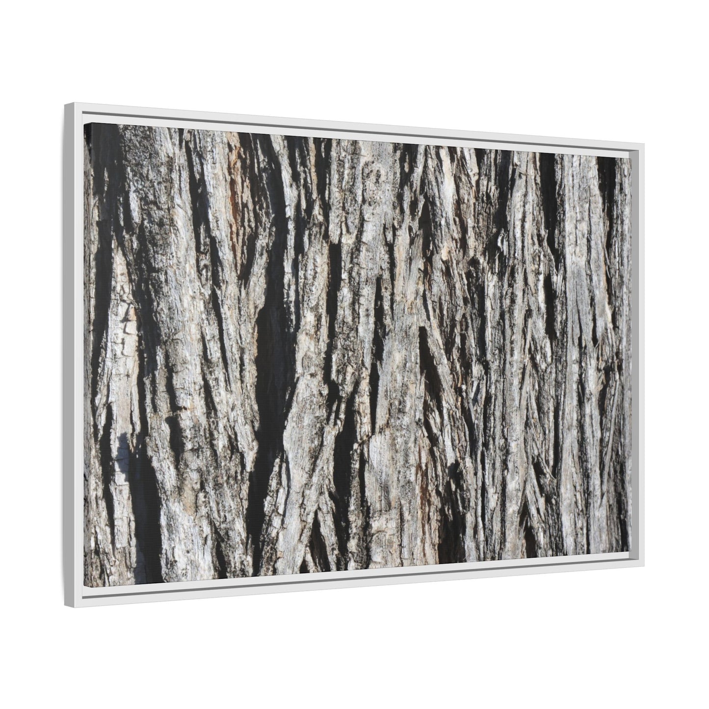 Nature's Abstract - Unique Stretched Canvas Wall Art