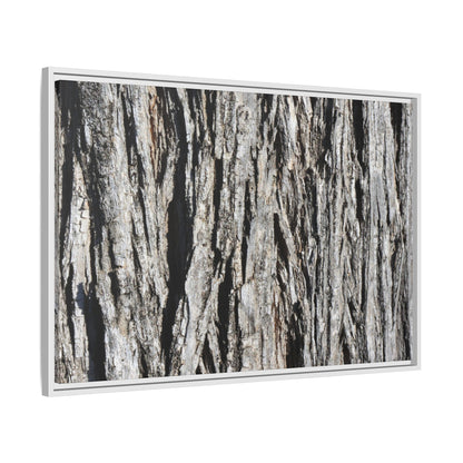 Nature's Abstract - Unique Stretched Canvas Wall Art