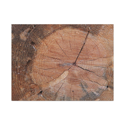 Timber Tale - Unique Frameless Canvas Wall Art