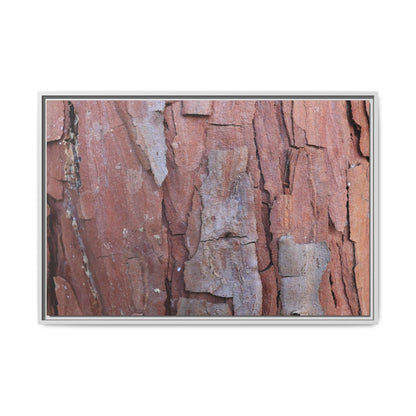 Peeling Bark - Unique Stretched Canvas Wall Art