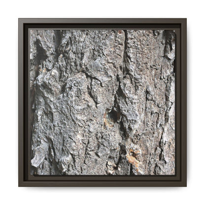 Crusty Exterior - Unique Stretched Canvas Wall Art