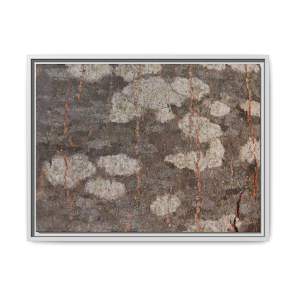 Lichen's Legacy - Unique Stretched Canvas Wall Art