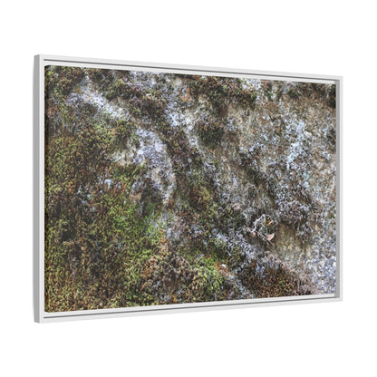 Mossy Whispers - Unique Stretched Canvas Wall Art