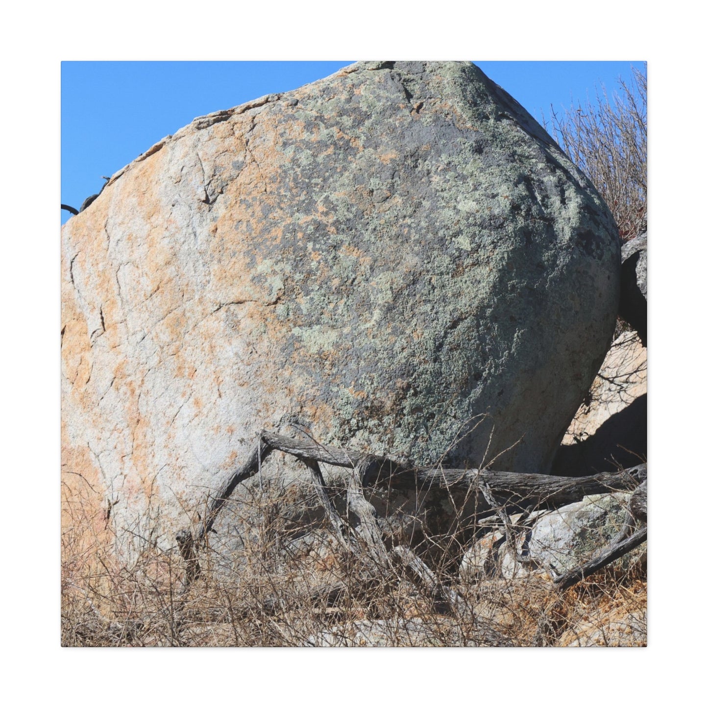 Boulder's Solitude - Unique Stretched Canvas Wall Art - Art By Earth