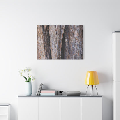 Fractal Skin - Unique Frameless Canvas Wall Art