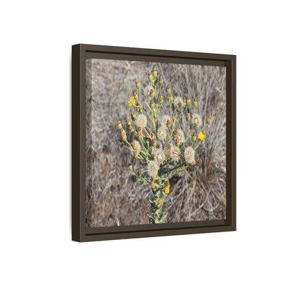 Whispers of the Dry Grass - Unique Stretched Canvas Wall Art - Art By Earth