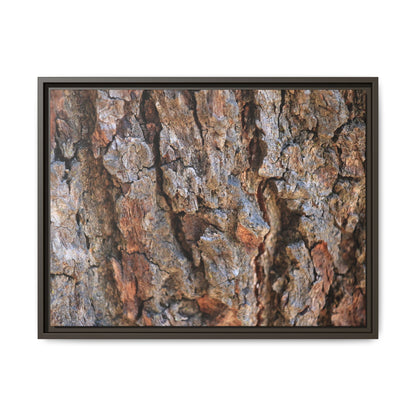 Craggy Textures - Unique Stretched Canvas Wall Art