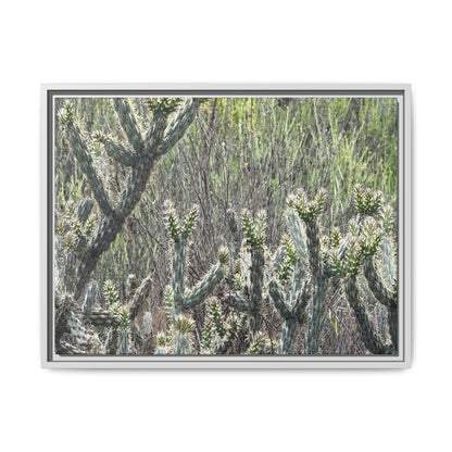 Prickly Paradise - Unique Stretched Canvas Wall Art