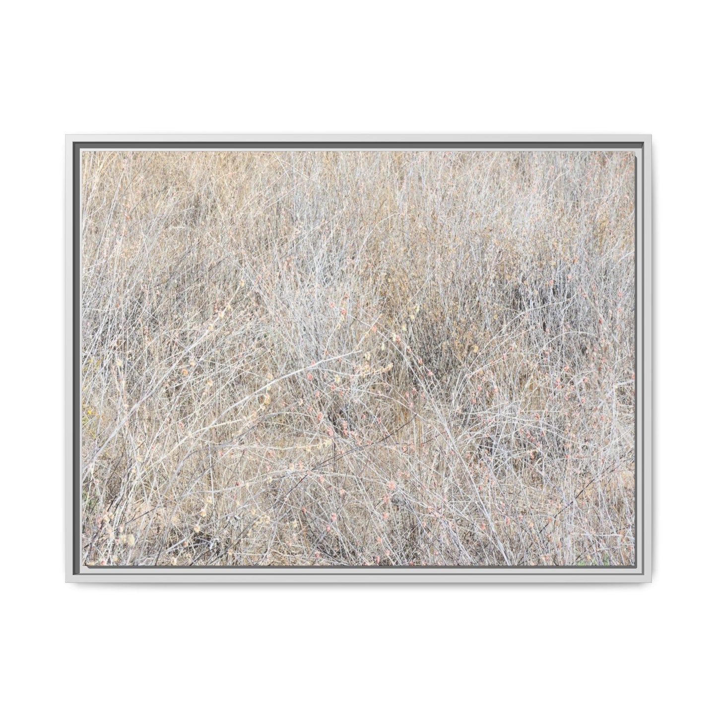 Whispers of Dry Grass - Unique Stretched Canvas Wall Art - Art By Earth