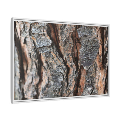 Fractured Nature - Unique Stretched Canvas Wall Art