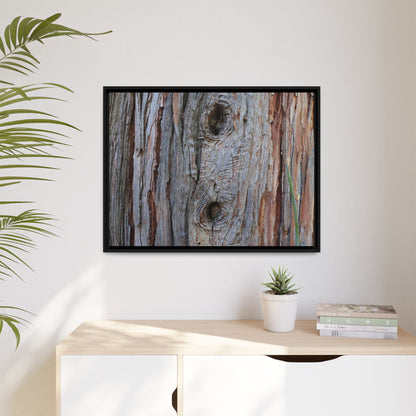 Knotty Nature - Unique Stretched Canvas Wall Art