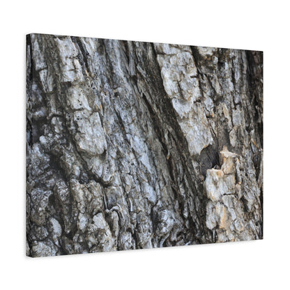 Nature's Rough Embrace - Unique Frameless Canvas Wall Art
