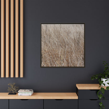 Whispers of Autumn - Unique Stretched Canvas Wall Art - Art By Earth