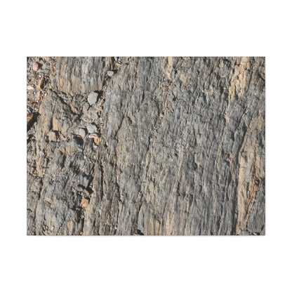 Bark Echoes - Unique Frameless Canvas Wall Art
