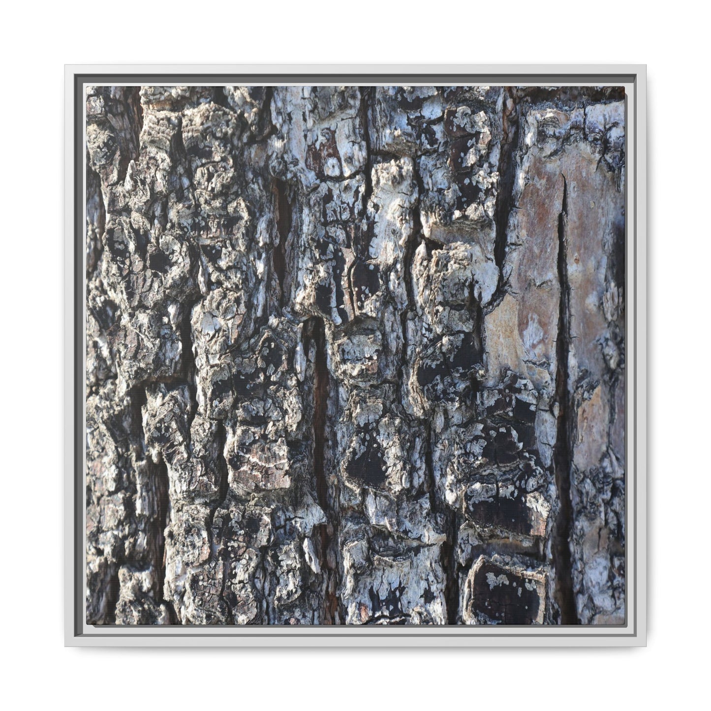 The Bark Chronicles - Unique Stretched Canvas Wall Art
