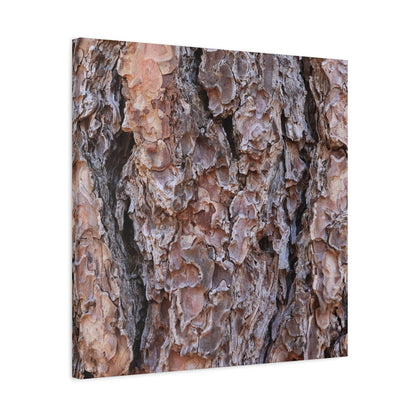 Rough Canvas - Unique Frameless Canvas Wall Art