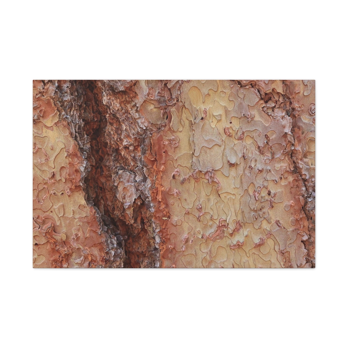 Arboreal Secrets - Unique Frameless Canvas Wall Art - Art By Earth