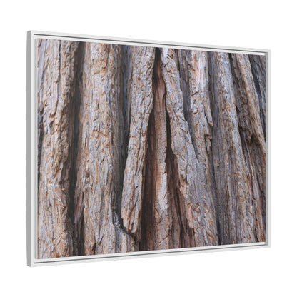 Nature's Sculpture - Unique Stretched Canvas Wall Art