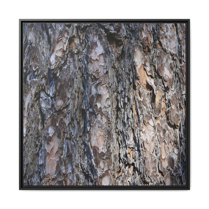 Weathered Patterns - Unique Stretched Canvas Wall Art