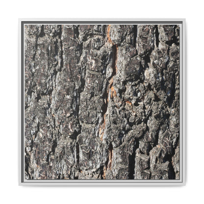 Aged Beauty - Unique Stretched Canvas Wall Art