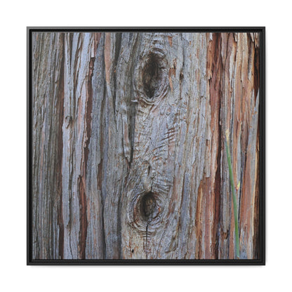 Knotty Nature - Unique Stretched Canvas Wall Art