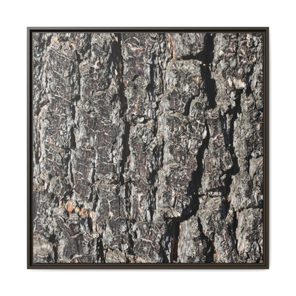 Bark Study in Gray - Unique Stretched Canvas Wall Art