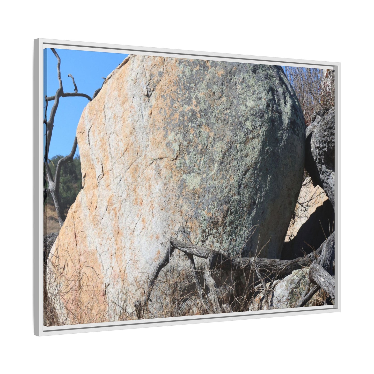 Stony Sentinel - Unique Stretched Canvas Wall Art - Art By Earth