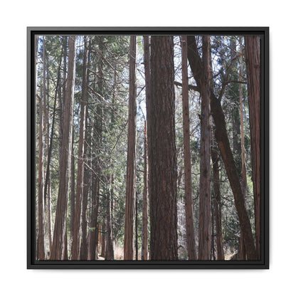 Forest Cathedral - Unique Stretched Canvas Wall Art