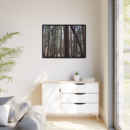 Forest Cathedral - Unique Stretched Canvas Wall Art