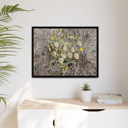 Whispers of the Dry Grass - Unique Stretched Canvas Wall Art - Art By Earth