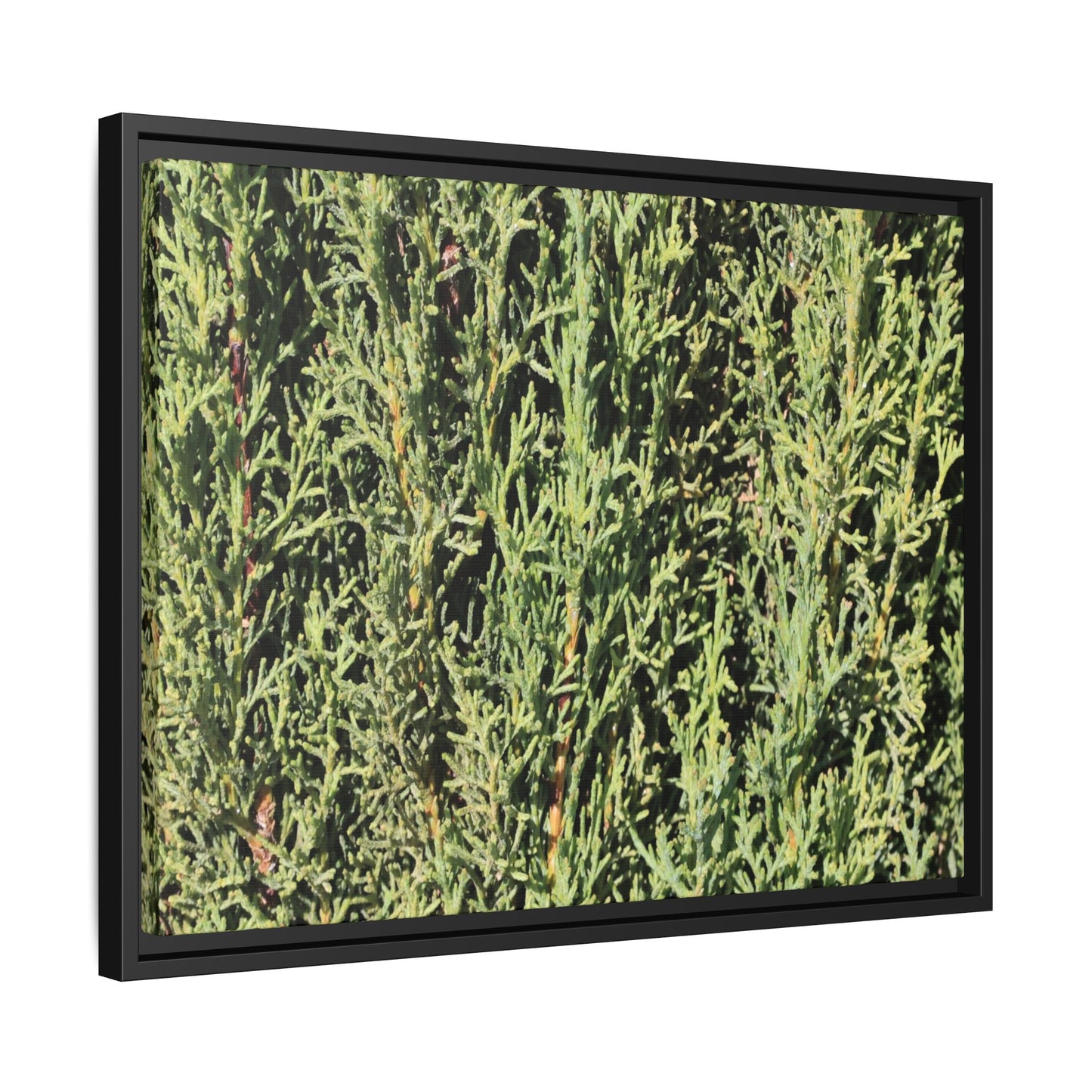 Emerald Labyrinth - Unique Stretched Canvas Wall Art - Art By Earth