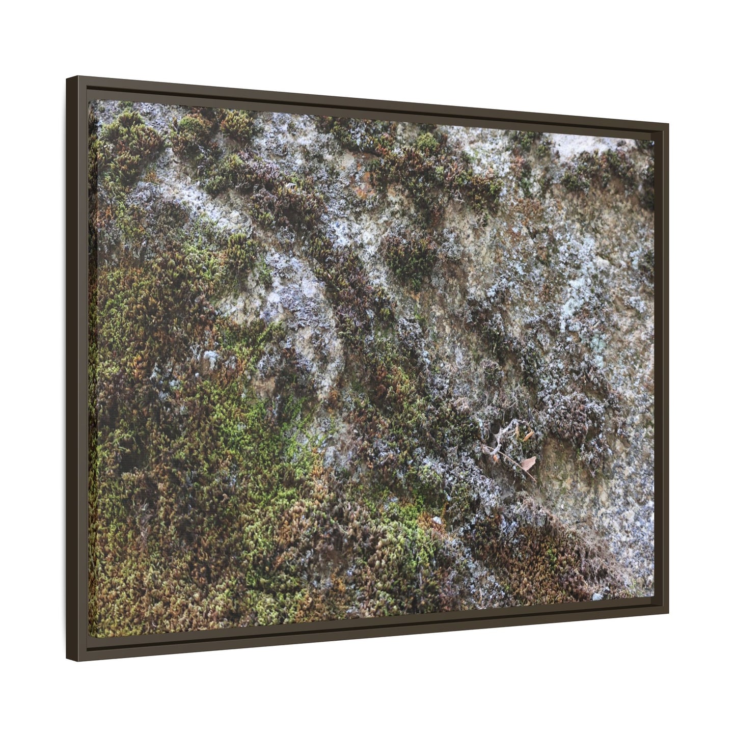 Mossy Whispers - Unique Stretched Canvas Wall Art