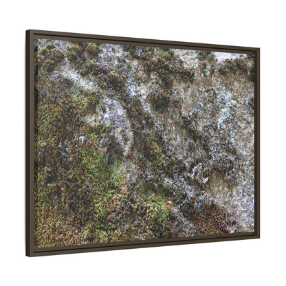 Mossy Whispers - Unique Stretched Canvas Wall Art