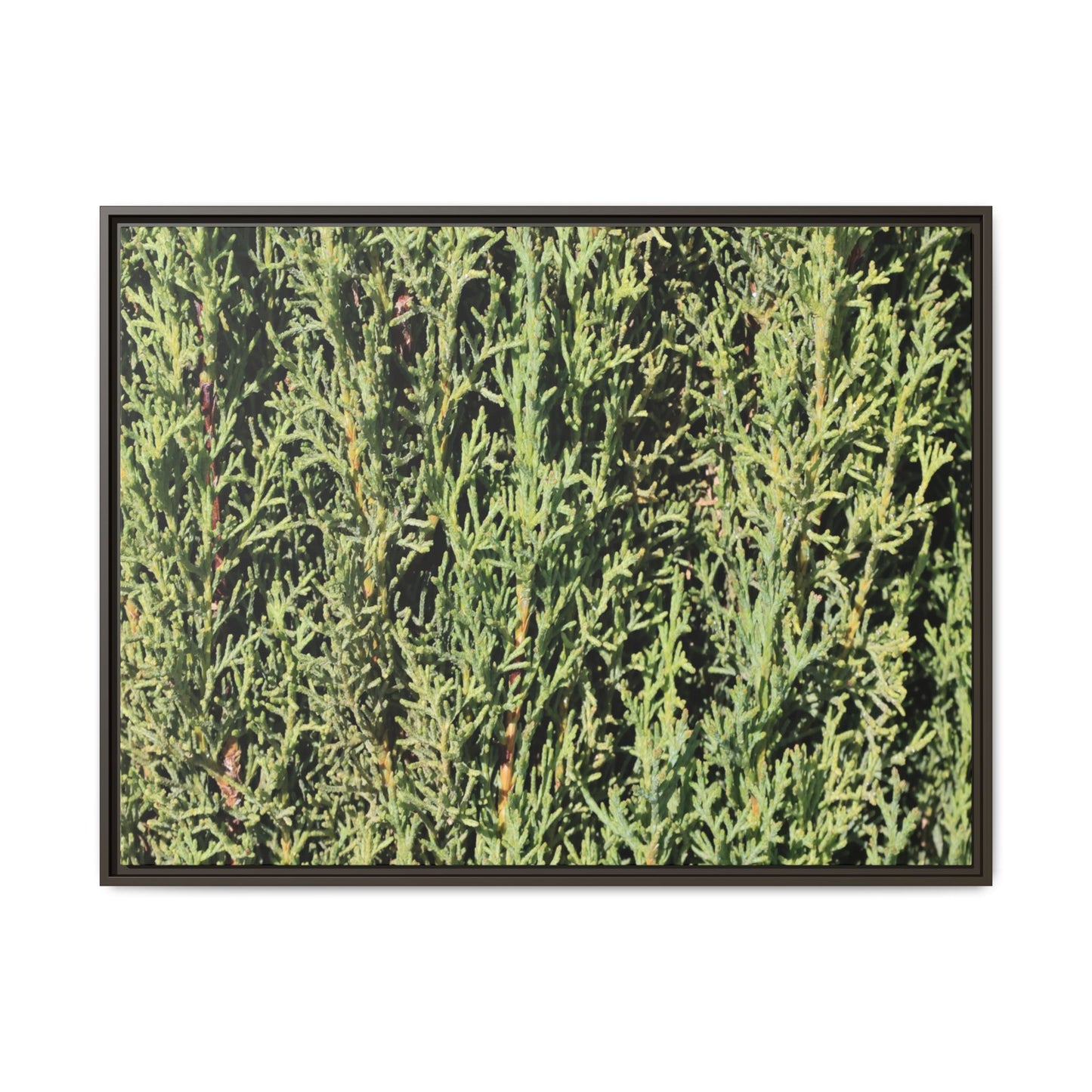 Emerald Labyrinth - Unique Stretched Canvas Wall Art - Art By Earth