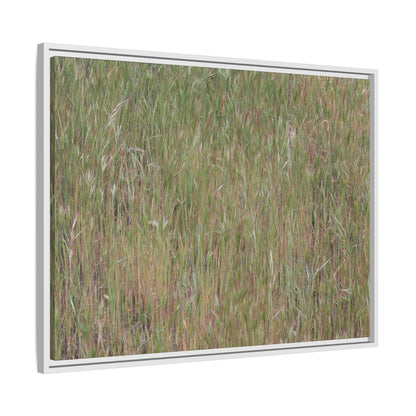 Field of Dreams - Unique Stretched Canvas Wall Art