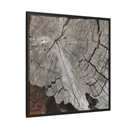 Time's Signature - Unique Stretched Canvas Wall Art