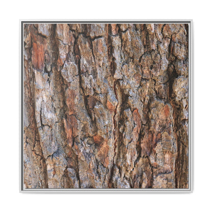 Tree's Timeworn Tale - Unique Stretched Canvas Wall Art