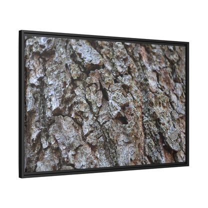 Woodland Canvas - Unique Stretched Canvas Wall Art
