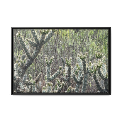 Prickly Paradise - Unique Stretched Canvas Wall Art
