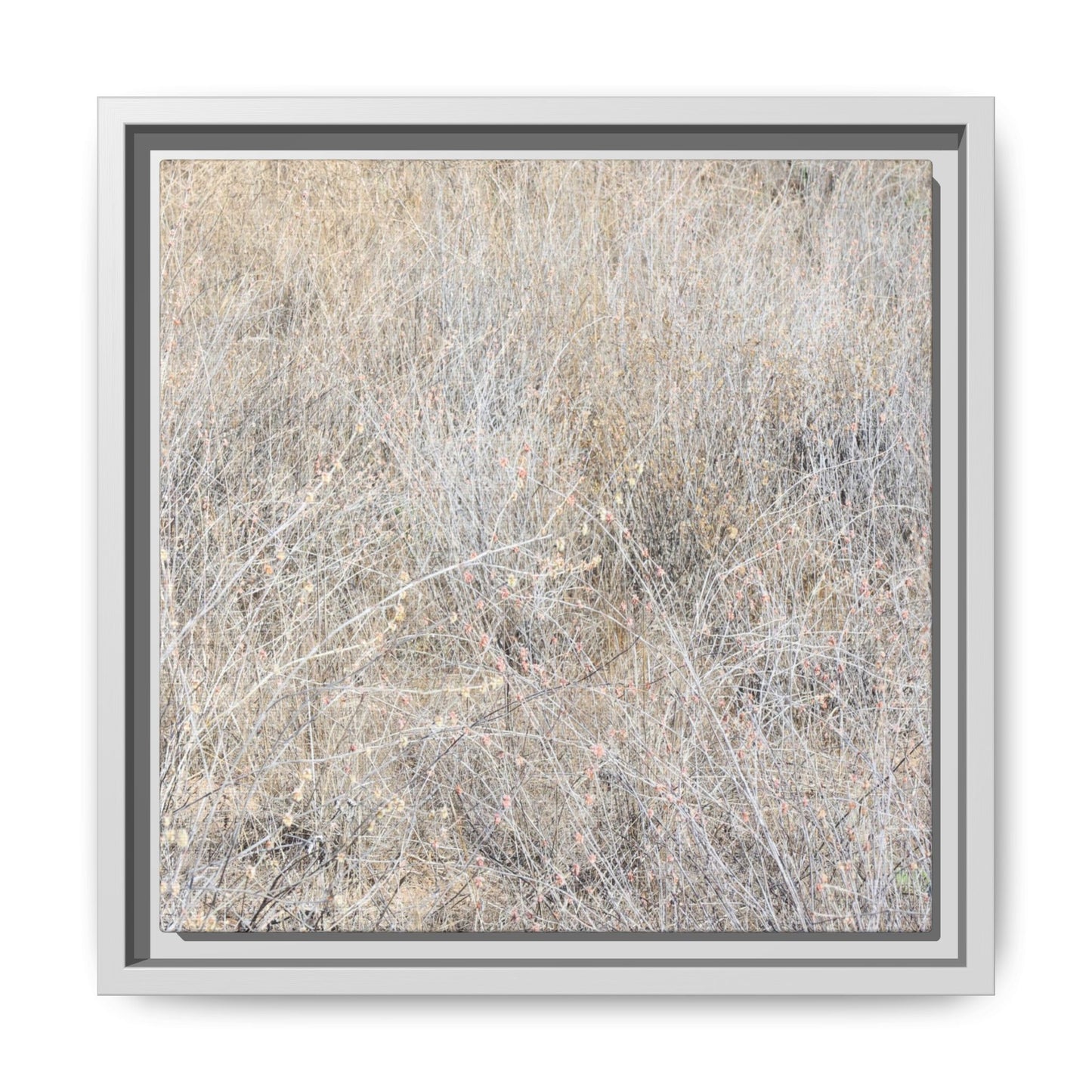 Whispers of Dry Grass - Unique Stretched Canvas Wall Art - Art By Earth